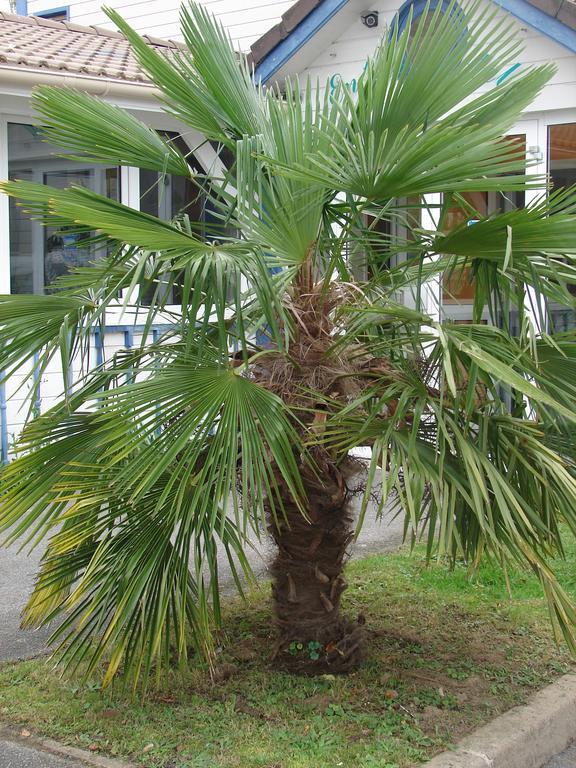 Budget Hotel Melun Sud - Dammarie Les Lys Exterior photo